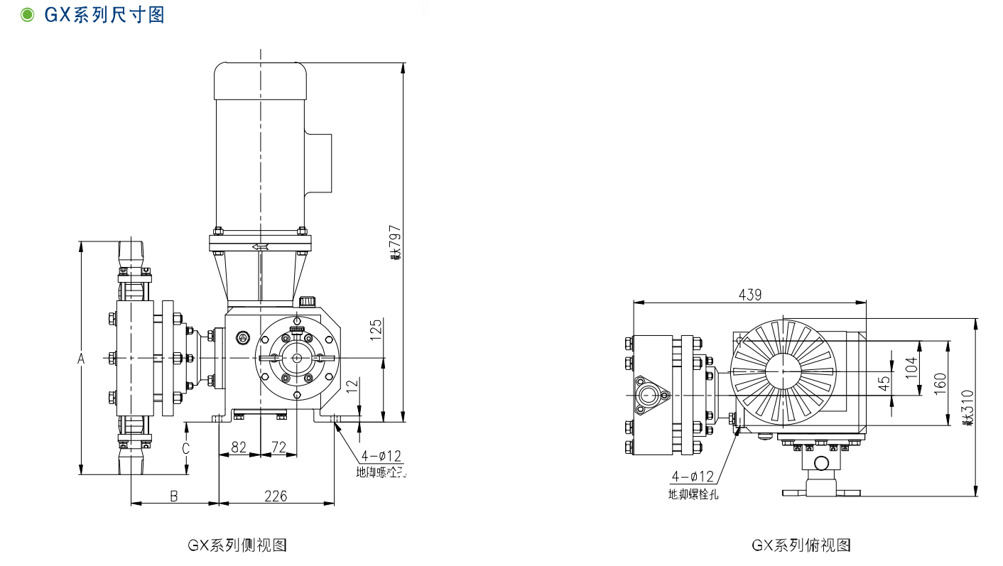 GX、2GX系列機(jī)械隔膜計(jì)量泵