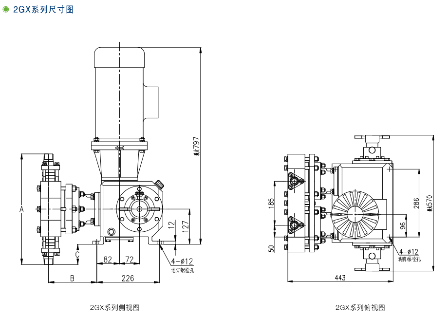 GX、2GX系列機(jī)械隔膜計(jì)量泵